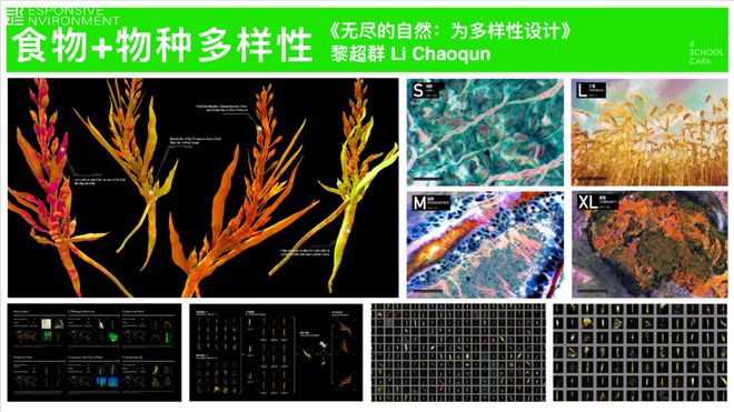 食物边回应气候变化的大学专业AG电玩国际在中国一个边研究(图12)